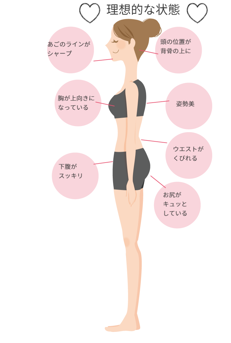 理想的な姿勢の状態のイラスト
