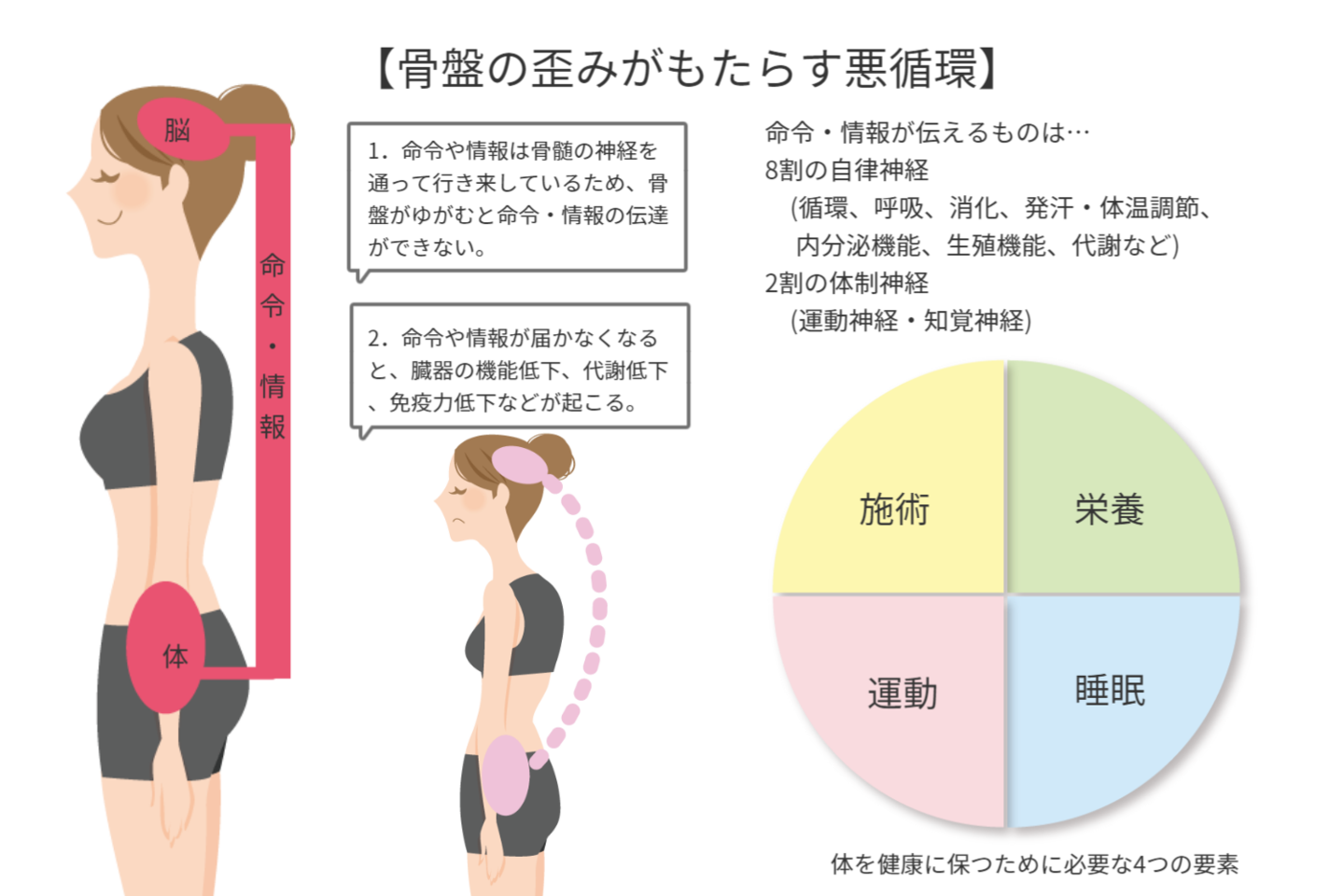 骨盤の歪みがもたらす悪循環のイラスト